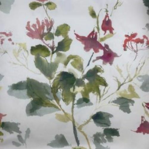 Sanderson honey flowers - honey,