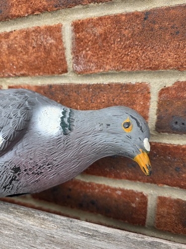 Pigeon shooting decoy birds - , x2