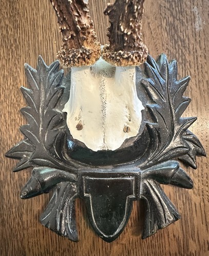 Black forest antique antler - forest,
