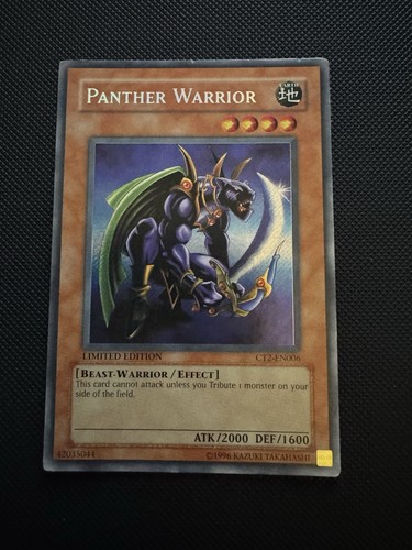 Panther warrior - panther,