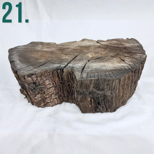 English bog oak wood pieces - oak,