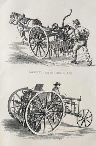 Farming cleven row - -,