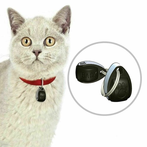 Cat mate collar - collar, pack
