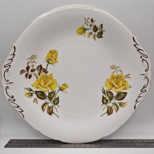 Paragon sunset yellow rose - yellow,