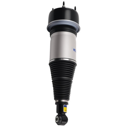 Rear air suspension strut - air,