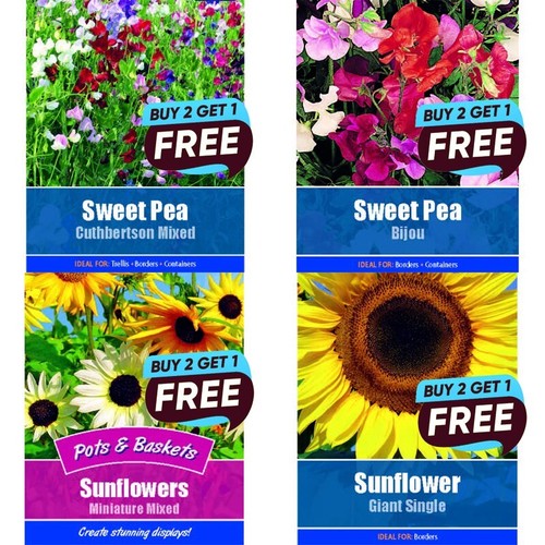 Flower seeds grow - flower, your