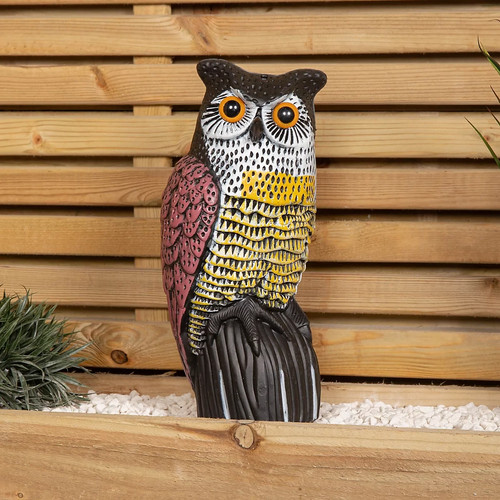 Large realistic owl bird - large,