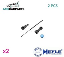 GAS SPRING BONNET SET 11-40