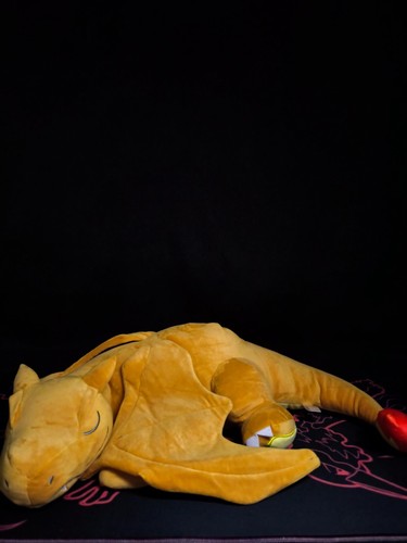 Pokémon large sleeping - pokémon,