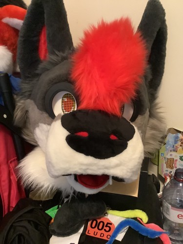 Fursuit fullsuit digitigrade - fursuit,