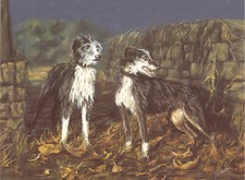 Lurcher, dogs, large quality