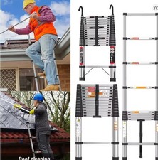 Telescopic Ladder Stainless
