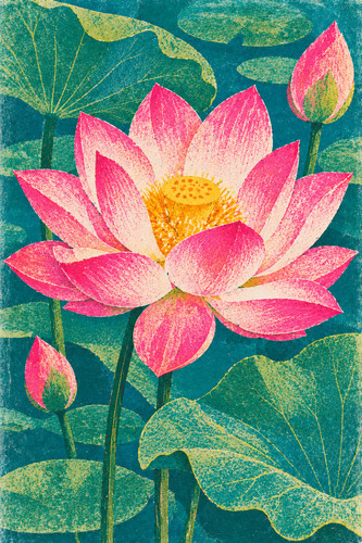 Lotus flower risograph - 35.,