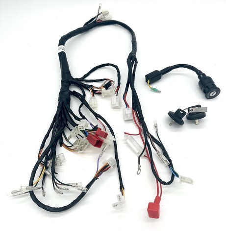 Apache 100cc quad wiring - 100cc, loom