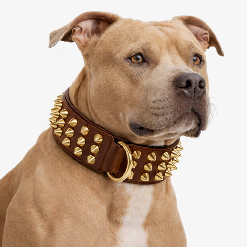 Brown leather dog - collar, 3