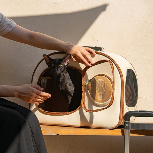 Cat carrier with wheels large - cat,