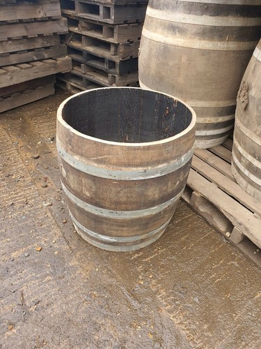 Large tall oak barrel tree - large,