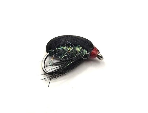 Foam beetle coch - foam,