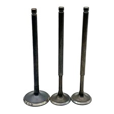 Intake Valves & Exhaust EX