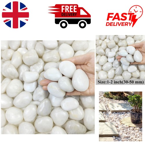 White pebbles 2 lbs - pebbles,