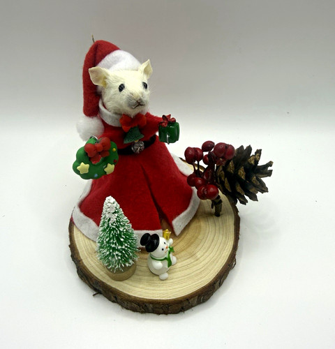 Taxidermy christmas mouse - taxidermy,
