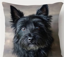 Super Soft Double Sided Black