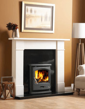 Evergreen Tiger inset Stove
