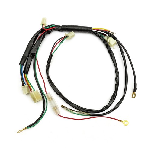 Electric start wiring loom - electric,