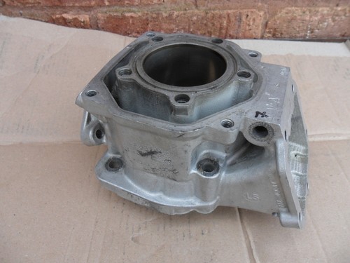 Rotax max mini - max,