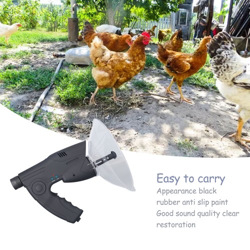 Parabolic microphone bird - parabolic,