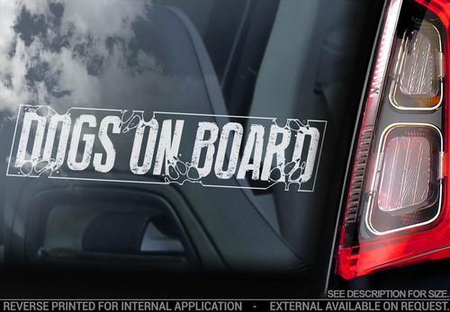 Dogs board car - board,