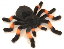 Tarantula orange kneed 30cm