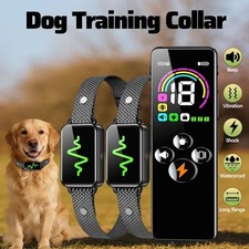 Remote Control Pet Collar