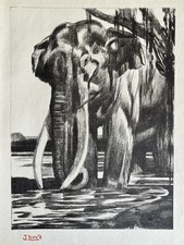 Paul JOUVE Animal Engraving Lithograph ART DECO Elephant Elephant