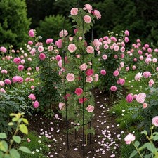 Garden Obelisk 1.9M -