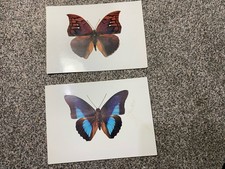 Vintage 1979 British Museum