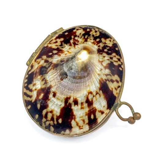 Vintage limpet shell pill - vintage,