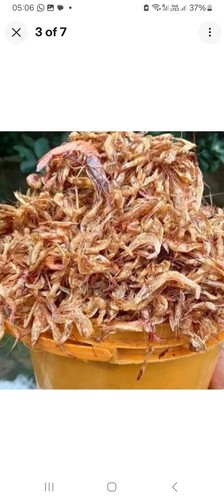 Dried crayfish tasty - dried,