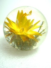 Spherical Glass Paperweight