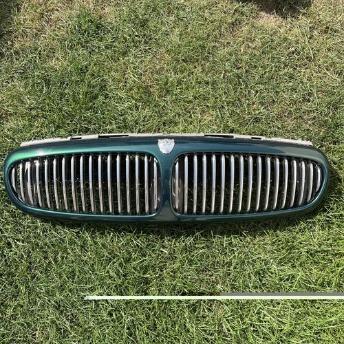 Jaguar type grill - jaguar,