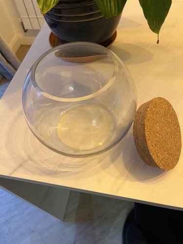Terrarium