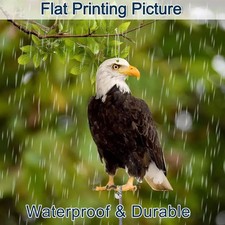 Large Realistic Owl Decoy