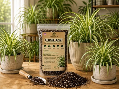 Terra life company - life,