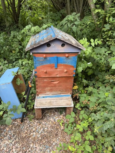 Auto flow beehive kit - flow,