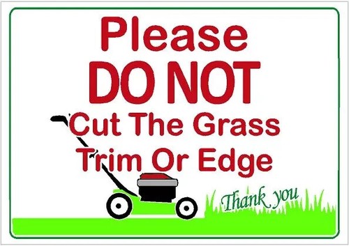 Please dont cut - please, or