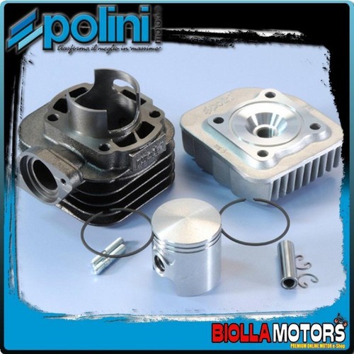 125 0008 thermal group polini - group,