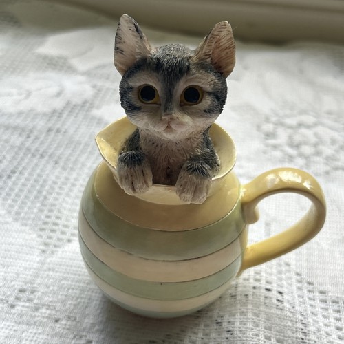 Pretty looking cat - pretty, in