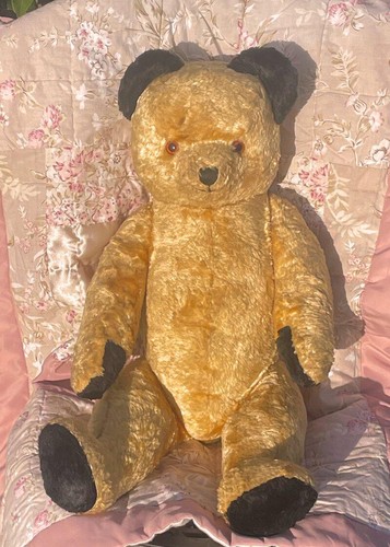 Large old sooty - sooty, type