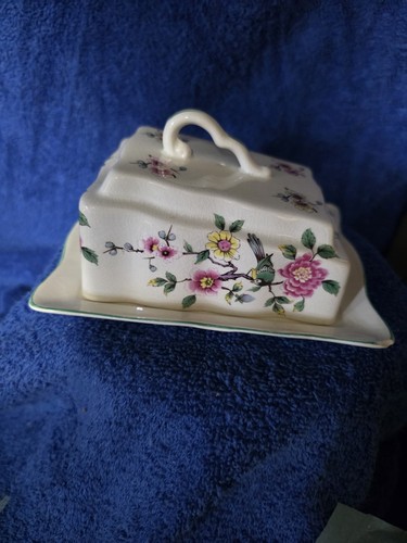 Old foley chinese rose - chinese,