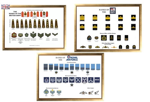 Large ranks the british - large,